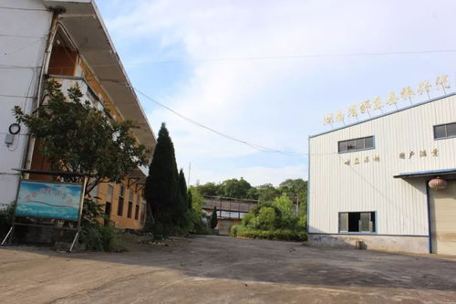 邵東振興汽配廠房地產(chǎn)拍賣 砂石鎮(zhèn)柳東村的投資機(jī)遇